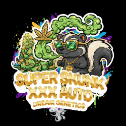 Super Skunk XXX Auto -...