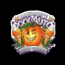 Mandarine XXX Auto - Dream...