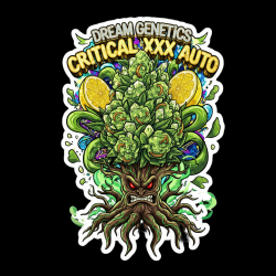 Critical XXX Auto - Dream...