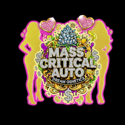 Mass Critical Auto - Dream...
