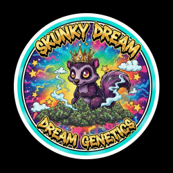 Skunky Dream - Dream Genetics