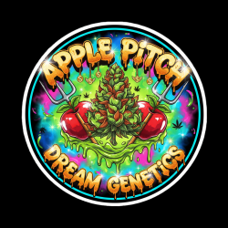 Apple Pitch  - Dream Genetics