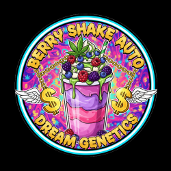 Berry Shake Auto - Dream...