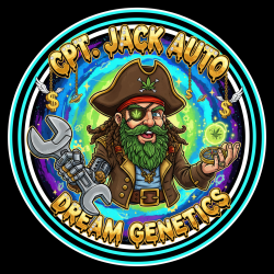 Cpt. Jack Auto - Dream...