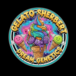 Gelato Sherbert   - Dream...