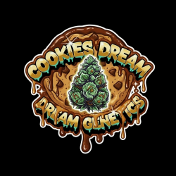 Cookies Dream  - Dream...