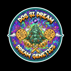 Dos-Si-Dream  - Dream Genetics